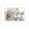 Floral Cow Parsnip by Jaynes Gallery Danita Delimont Wood Framed Wall Art Print 18 in. W x 14 in. H